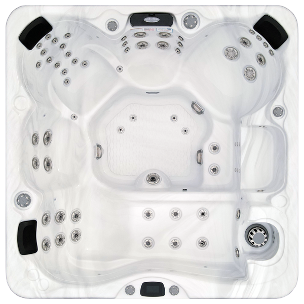 Avalon-X EC-867LX hot tubs for sale in Alexandria