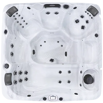 Avalon-X EC-840LX hot tubs for sale in Alexandria