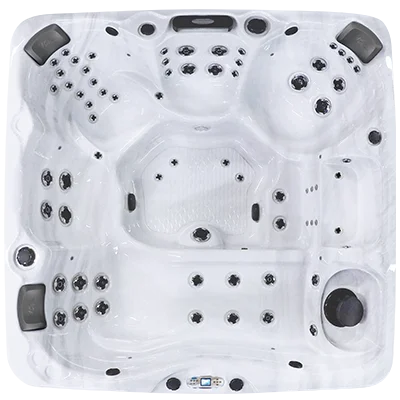 Avalon EC-867L hot tubs for sale in Alexandria